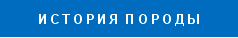 история породы